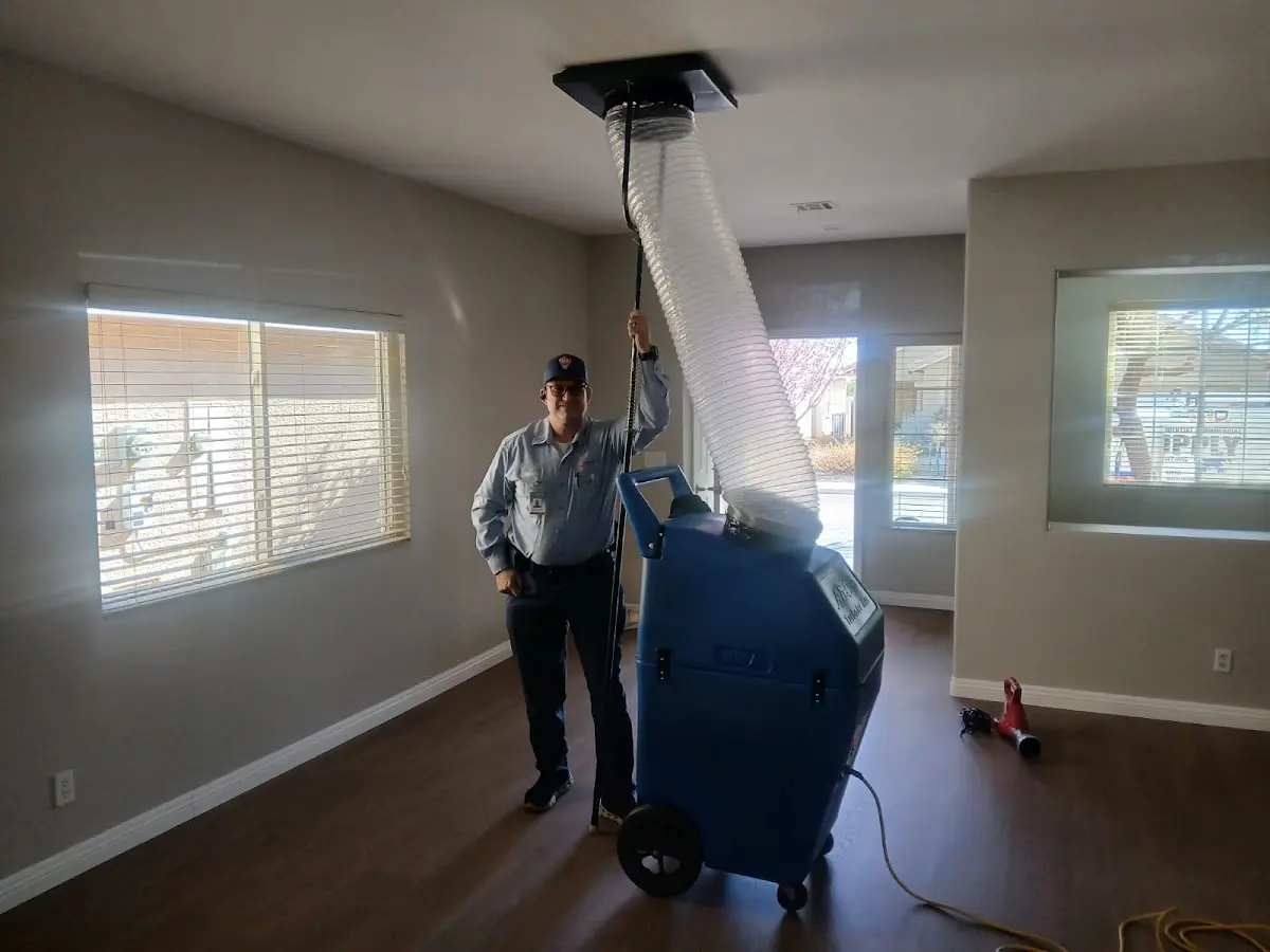 Professional Dryer Vent Cleaning work inside a West Livingston home